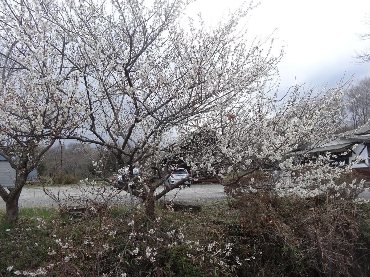 Gasthof Arutany Nasu Bagian luar foto