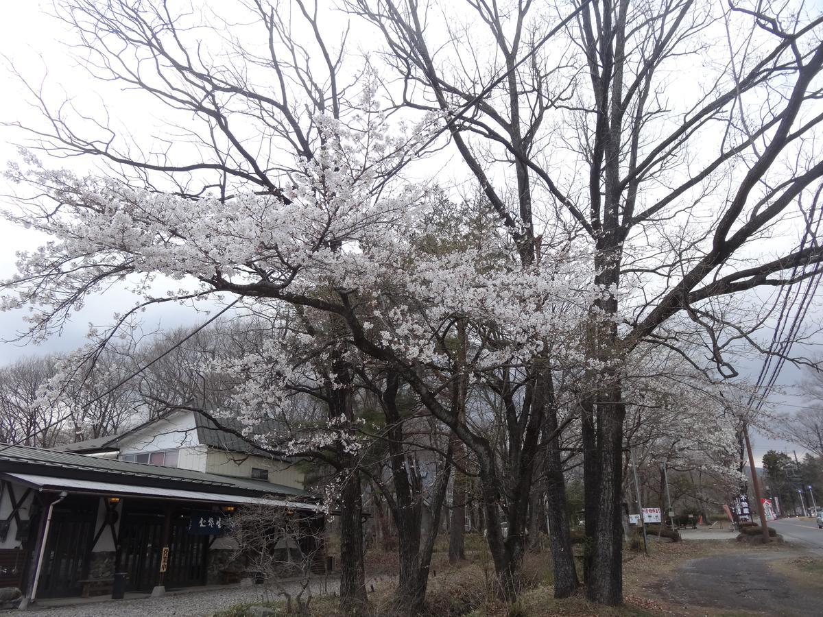 Gasthof Arutany Nasu Bagian luar foto